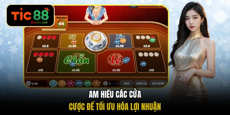 Am hiểu các cửa cược để tối ưu hóa lợi nhuận