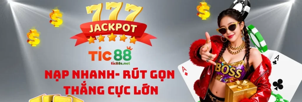 banner.tic88s.net