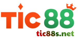 logo-tic88s.net
